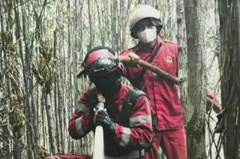 Hotspot Karhutla Naik Jadi 582 Titik, Kemenhut Perkuat Operasi Udara dan Darat